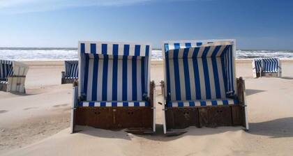 Hasennest Amrum Modern Retreat