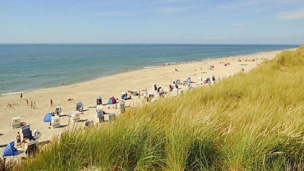 Strand