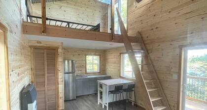 Extremely private remote get away, nestled in the pine trees on pristine lake