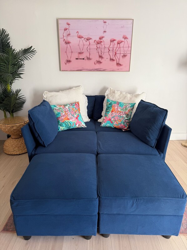 Smart TV, books - Flamingle in Palm Harbor (Palm Harbor)