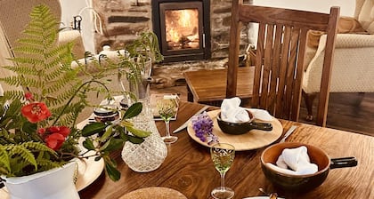 Charming Holiday Cottage in Devon - Country Views