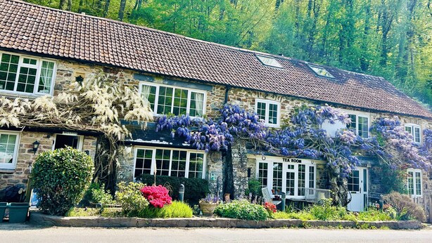 A stone building with a tiled roof, a tea room, and lush greenery. - Charming Holiday Cottage in Devon - Country Views (Tiverton)