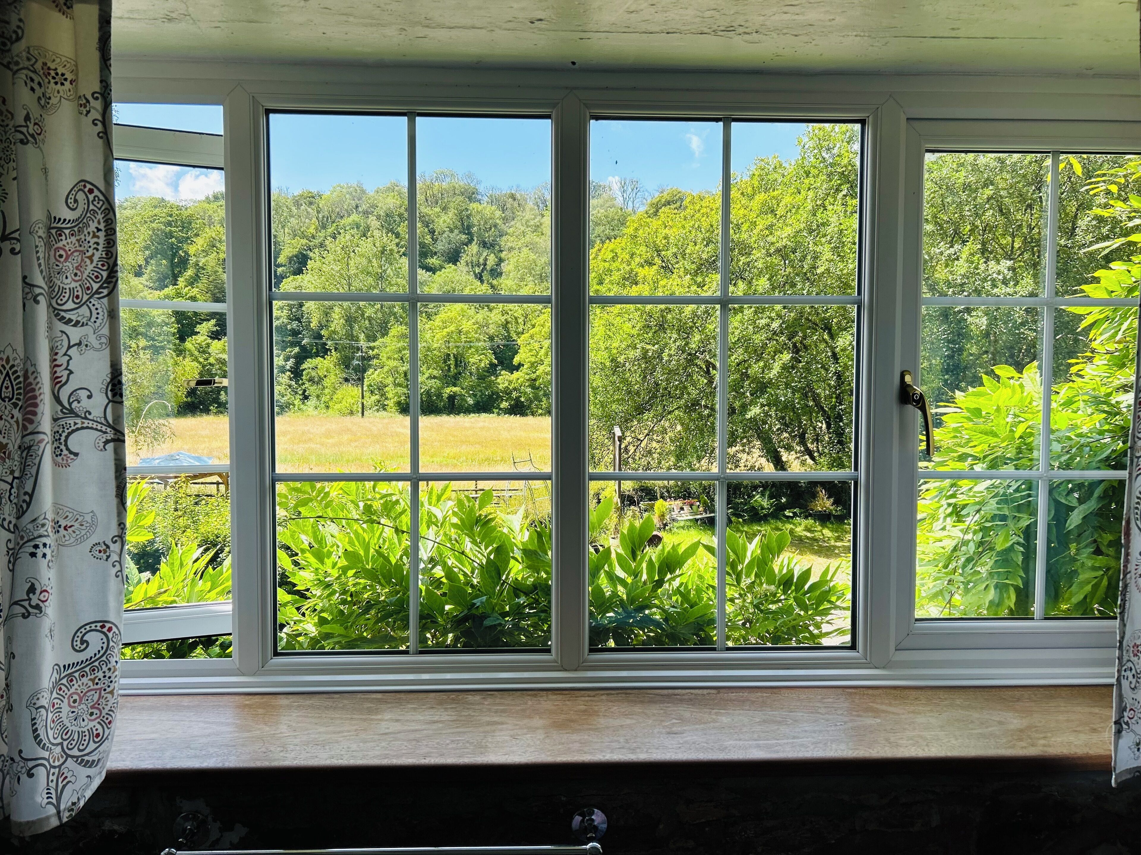 Una ventana con vista a un jardín exuberante y árboles.