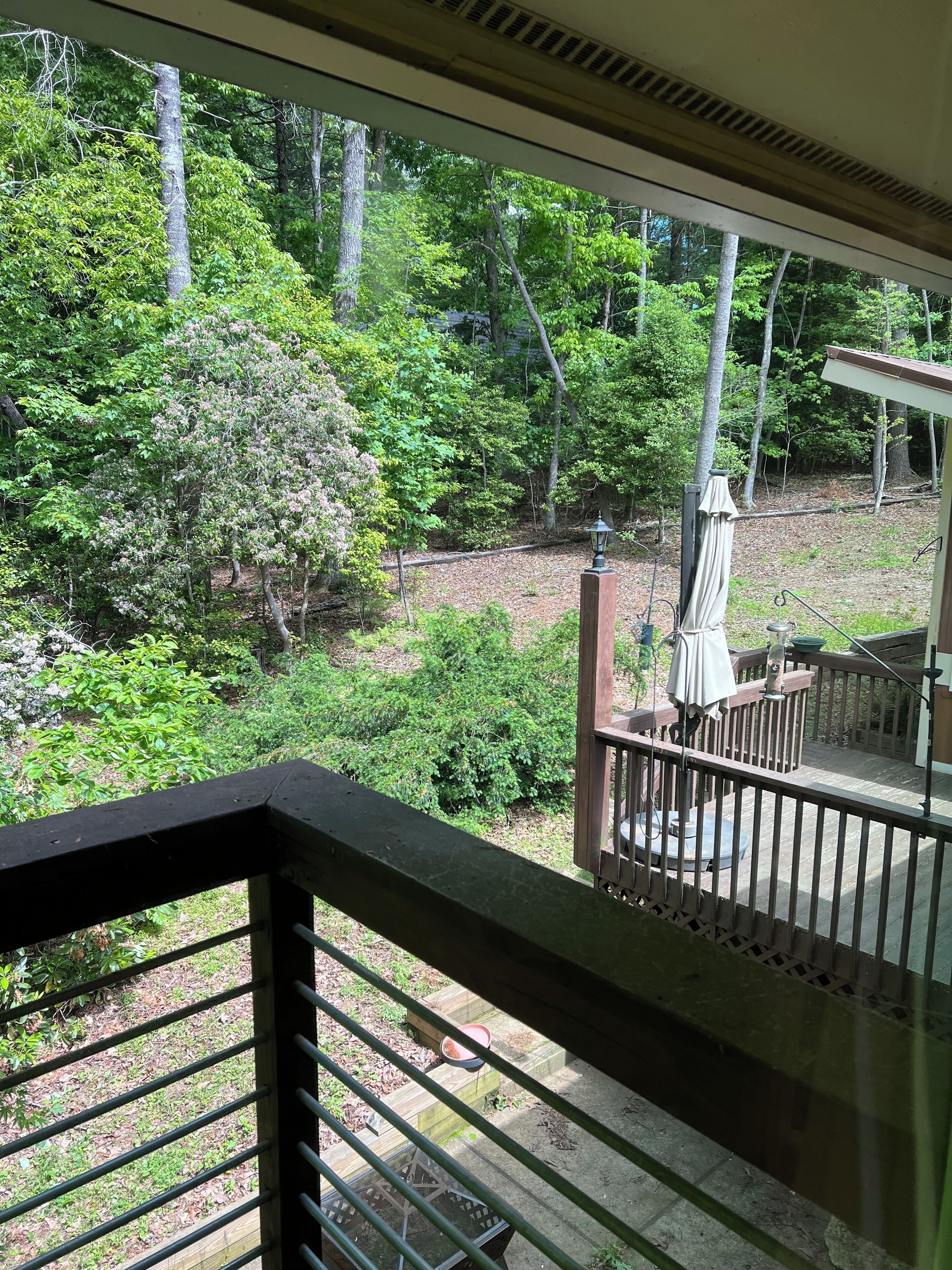 Vue depuis un balcon donnant sur une zone boisée, avec une terrasse en bois et du mobilier d’extérieur.