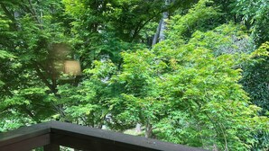 Property grounds - Serenity Home - Forest, Fun, and Adventure (Brevard)