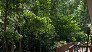 A concrete pathway with a wooden railing, surrounded by rocks and greenery, leading to a covered area with seating. - Serenity Home - Forest, Fun, and Adventure (Brevard)
