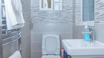 Apartment | Bathroom | Shower, hair dryer, towels