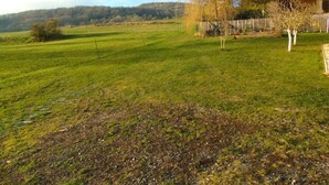 A rural landscape with a wooden fence, a small tree, and a building with a sloped roof. - Csilla Comfortable Holiday Residence (Kaltennordheim)