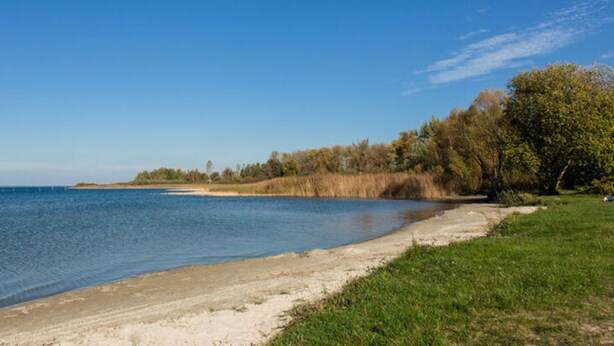 Une plage avec un ciel bleu dégagé, un rivage sablonneux et des arbres qui bordent le bord de l’eau.