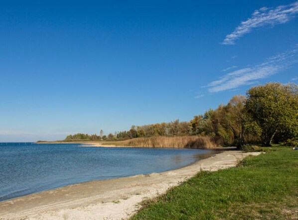 Beach - Amselgrun Modern Retreat (Rechlin)