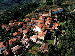An aerial view of a historic village with tightly packed buildings, a prominent church, and terraced vineyards in the background. - Luxury Retreat in Montevettolini (Monsummano Terme)