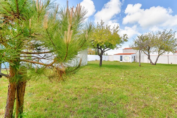 A grassy area with a pine tree and a small building with a red roof.