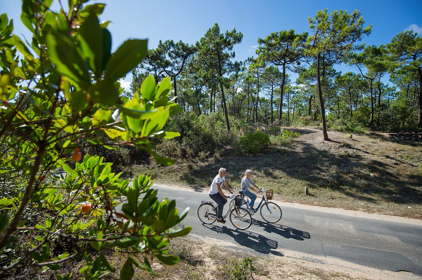 Two people riding bicycles on a paved road surrounded by trees and greenery.