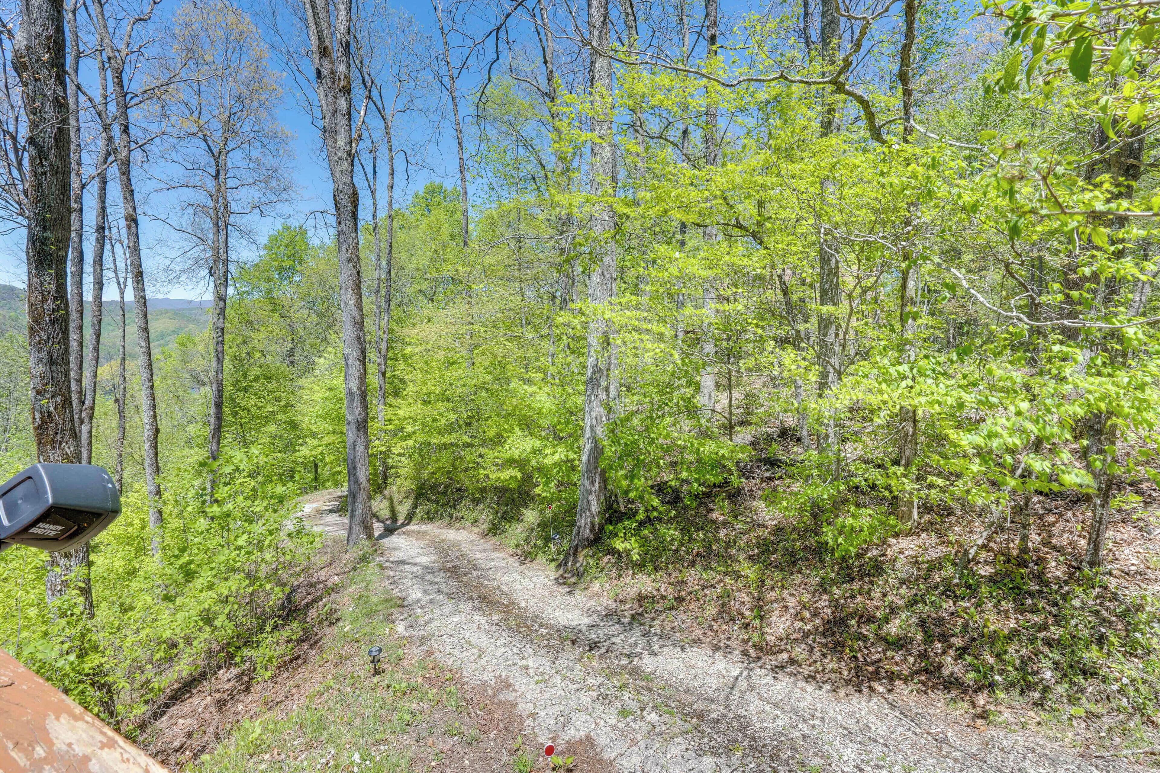A forested trail with a gravel path, surrounded by trees and greenery.