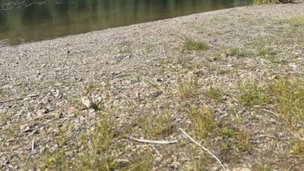 A lakeside view with a forested shoreline and a pebbly beach. - Panoramic View of Lake Harz (Clausthal-Zellerfeld)