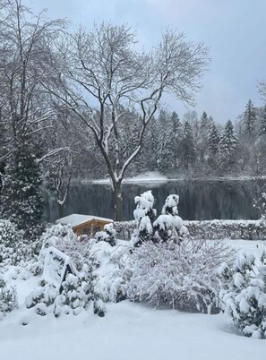 Exterior - Panoramic View of Lake Harz (Clausthal-Zellerfeld)
