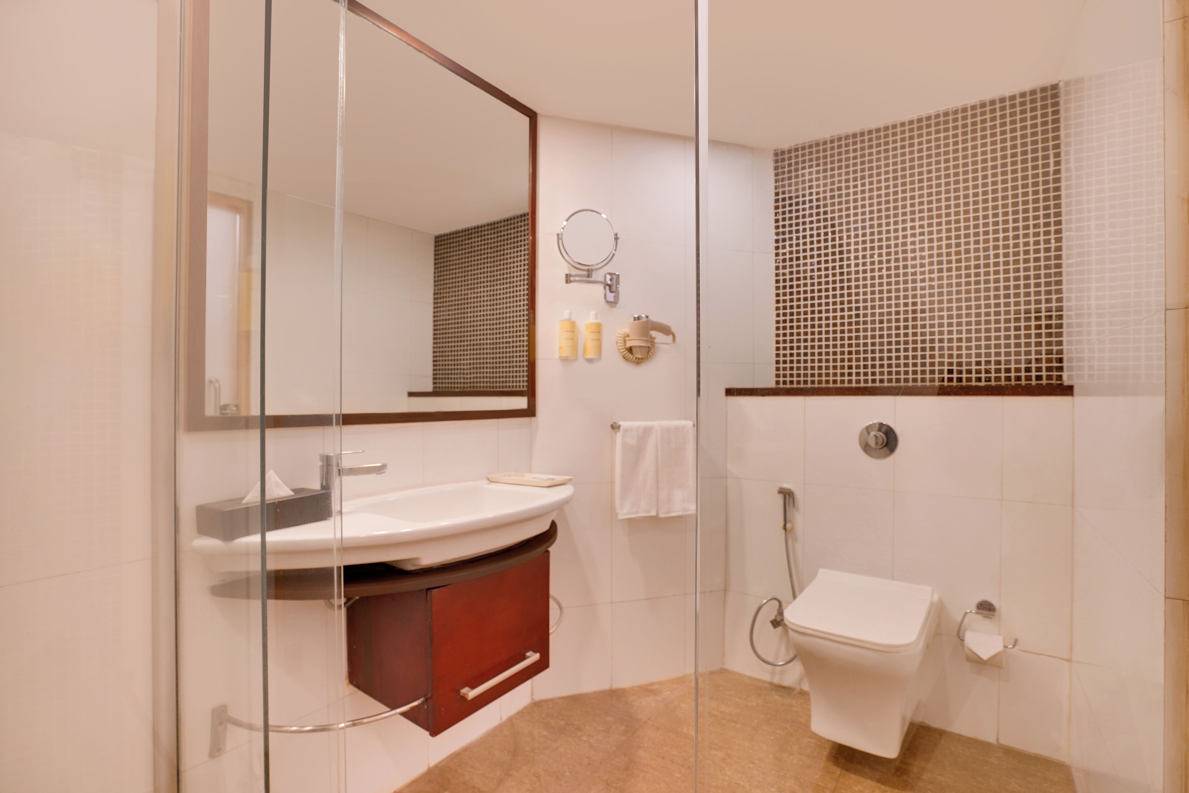 A modern bathroom with a glass shower enclosure, a white sink, and a toilet.
