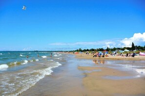 Playa en los alrededores 