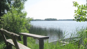 Un banco de madera junto a un lago tranquilo con orillas cubiertas de hierba y árboles.