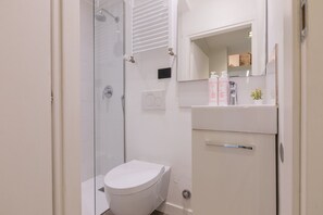 Shower, hair dryer, bidet, towels