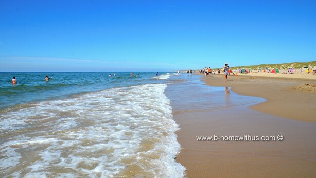 A beach with clear skies, waves, and people.