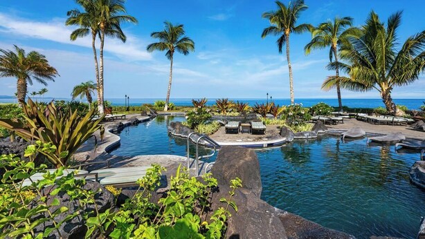 A pool area with palm trees and a view of the ocean.