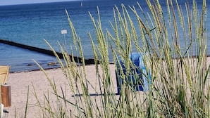A beach with tall grasses in the foreground, a sandy beach, and the ocean in the background. - Holiday Home Apartment - East (Grossenbrode)