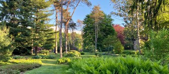 NEW: Vintage, Mid-Century Suite above Antique Store