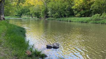 Ein Fluss mit einer grasbewachsenen Uferbank und Bäumen im Hintergrund.