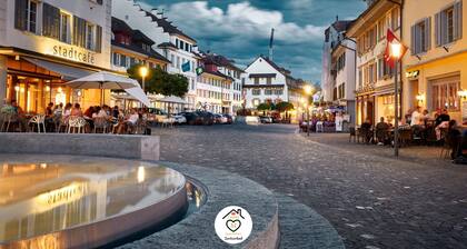 Family M Apartments 16 - City Center of Sempach - Near highway