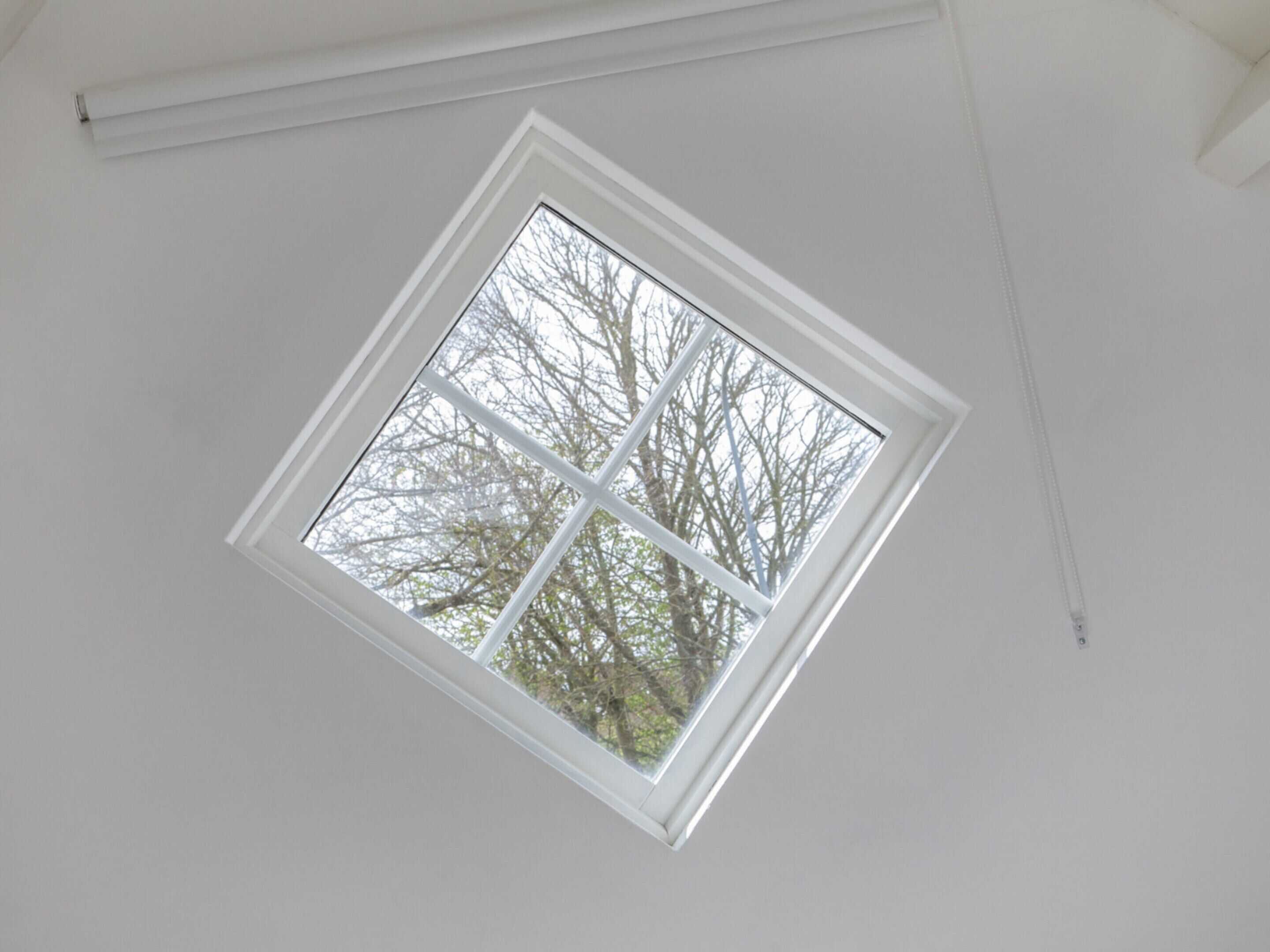 A skylight window with a view of bare trees, white walls, and a ceiling light fixture.