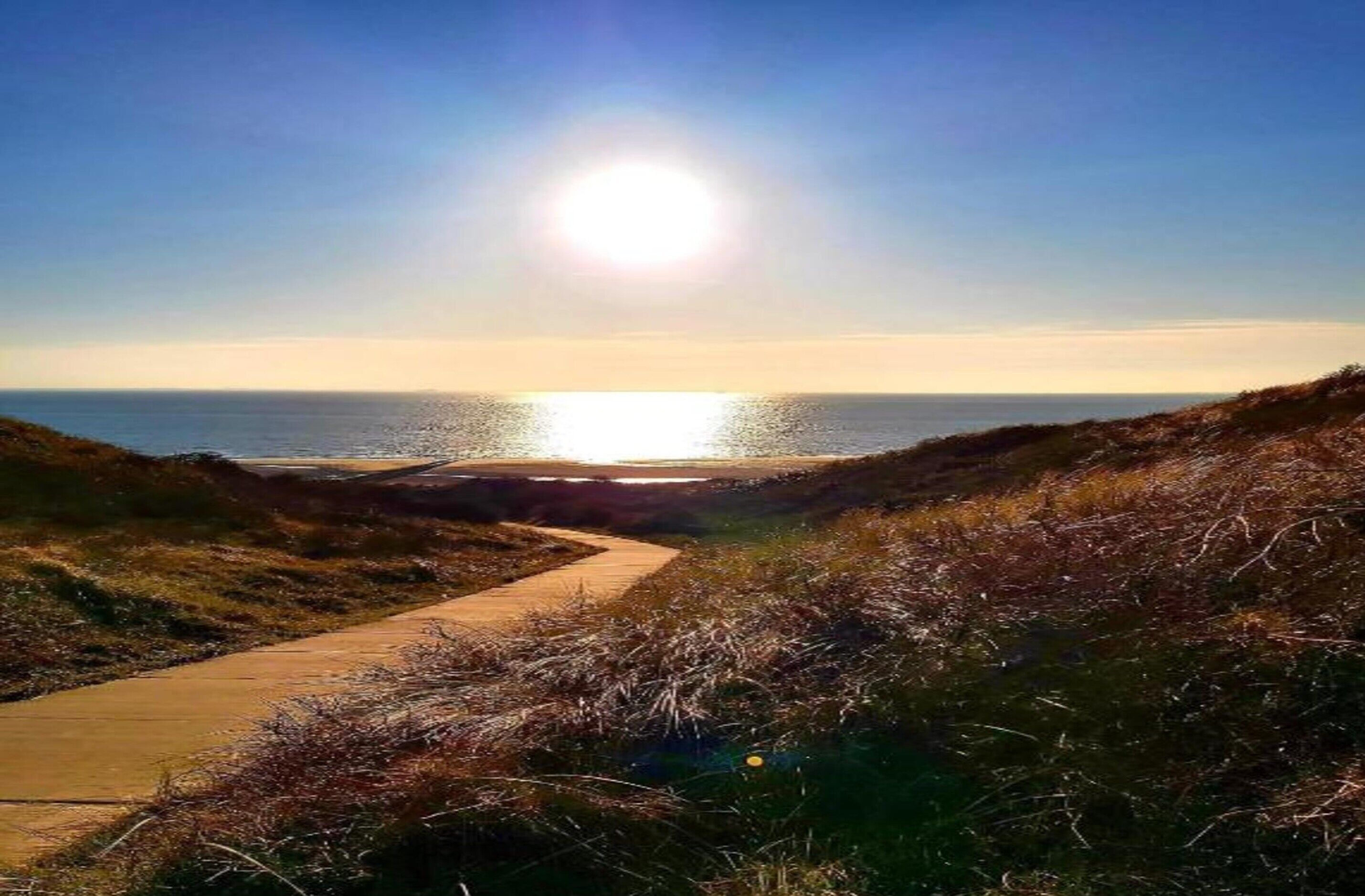A coastal path leading to the sea with a clear sky.