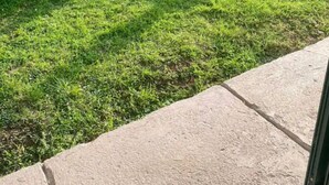 A well-maintained lawn with a row of small bushes and a statue in the background. - 3 Bedroom Apartment in Massa Lubrense (Massa Lubrense)