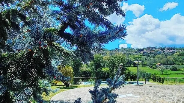 A stone pathway leading to a park with coniferous trees and a view of a town in the distance.