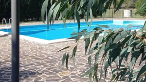 A swimming pool with a stone-tiled deck, surrounded by eucalyptus trees.