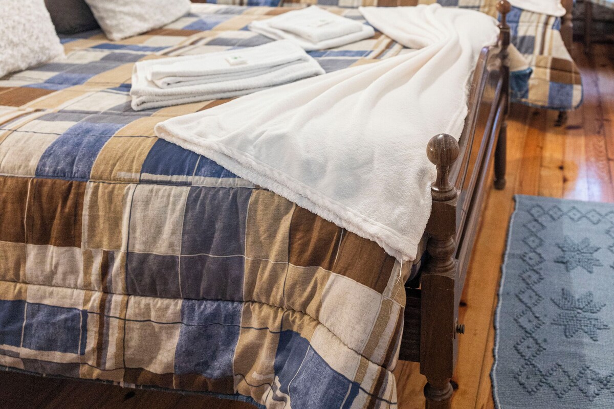A bedroom with two beds, wooden headboards, a blue patterned rug, and a window with curtains.