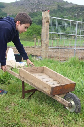 Hoạt động cho trẻ em