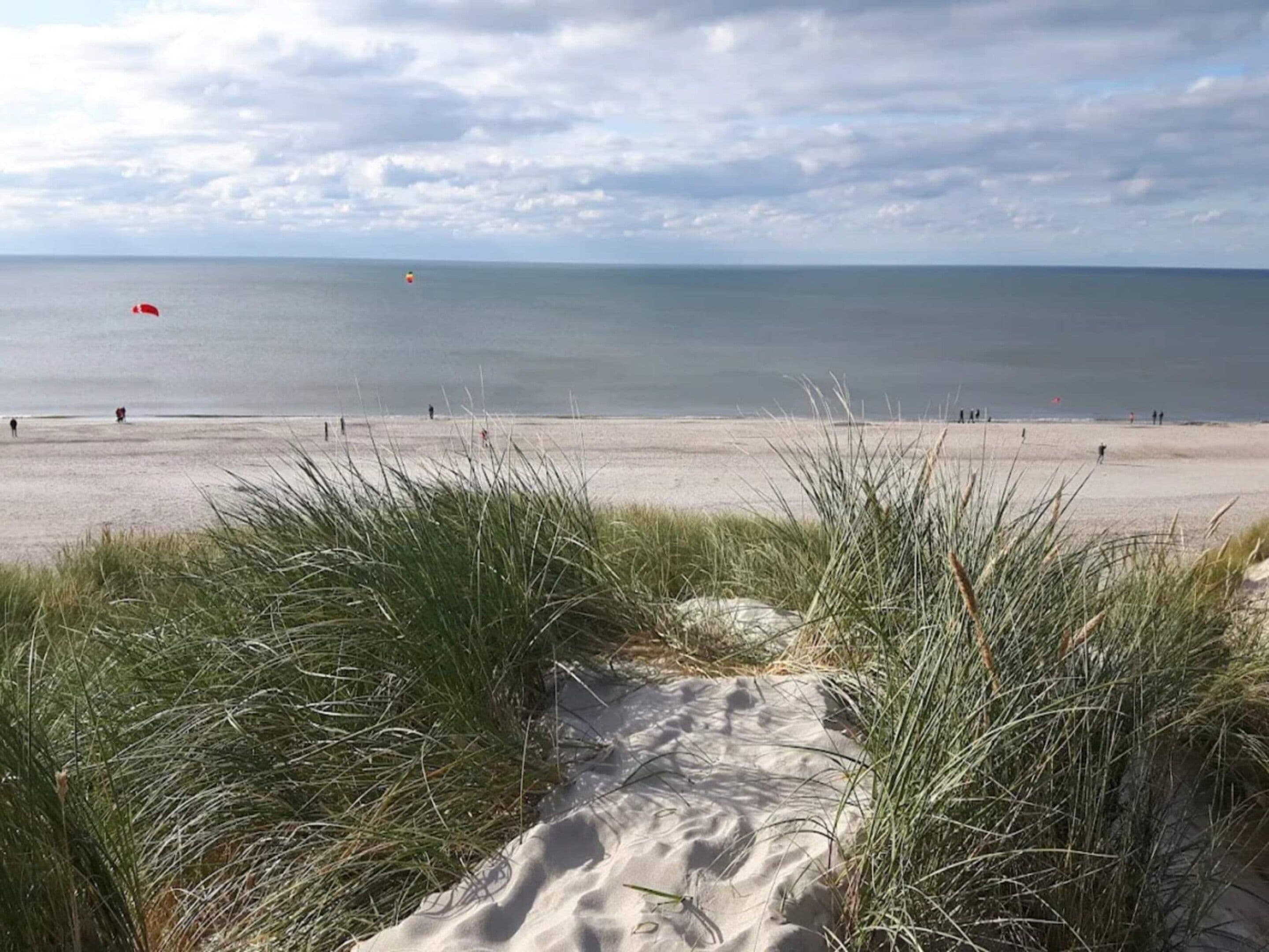 Een strand met duinen en uitzicht op zee.