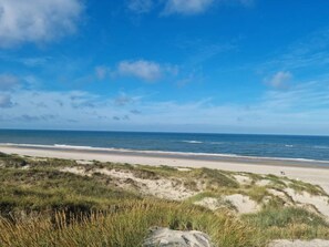 A beach with sand dunes and a clear sky.