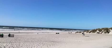 Maison | Plage