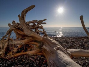 House | 4 bedrooms, individually furnished, iron/ironing board - Uitzicht op de Kraanvogel (Dreschvitz)