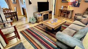 Smart TV, fireplace, books