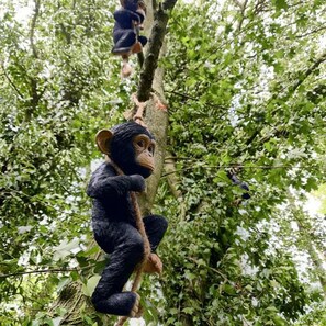 A chimpanzee climbing a rope between trees in a forested area. - Inviting 1-bed Cabin in Newmarket (Newmarket)