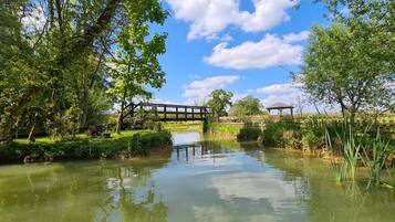 Cabin | Property grounds