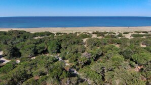 A coastal landscape with dense vegetation in the foreground and a sandy beach extending to the ocean. - Holiday Home in Tuscany Near Sassetta (Castagneto Carducci)