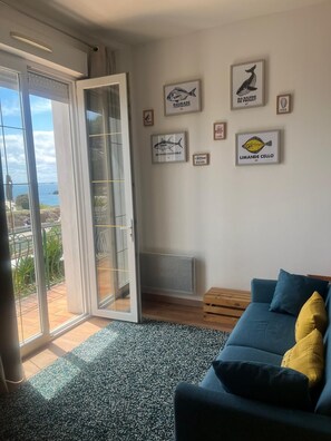 Televisor, videojocs, reproductor de DVD i llibres