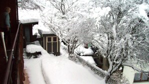 Een besneeuwde pad dat naar een huis leidt, met een houten omheining en een klein tuinhuis.