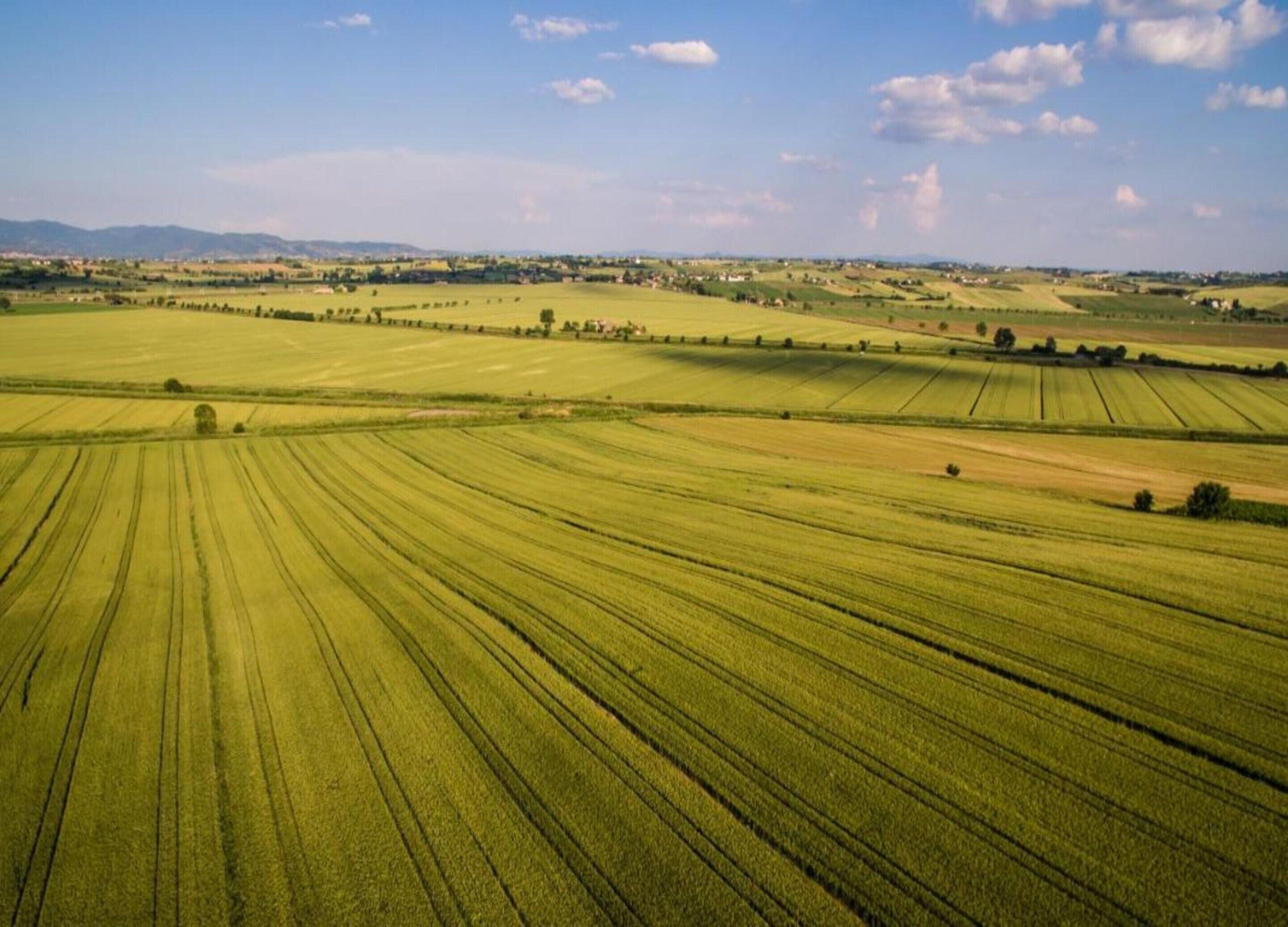 A vast agricultural landscape with fields in various stages of crop growth, distant hills, and a clear sky.