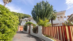 Une rue résidentielle avec une maison blanche, un cactus et une clôture rouge et blanche.