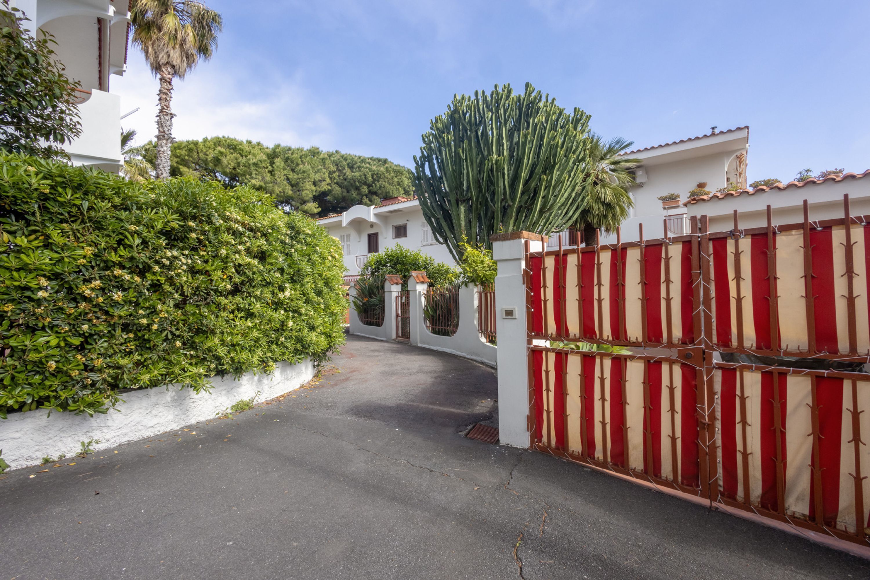 A narrow driveway leading to a gated entrance with a cactus and a white building with a tiled roof.